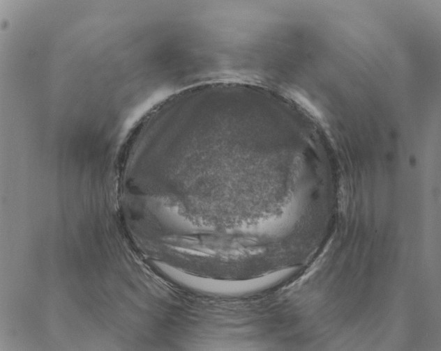 X0000088401310200706191347