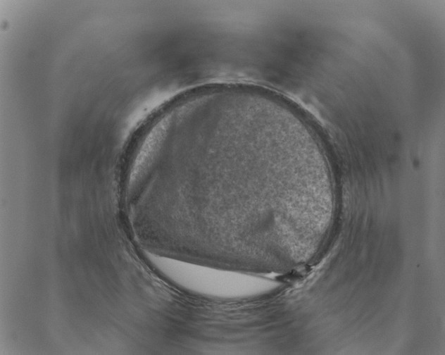 X0000088401311200706191347