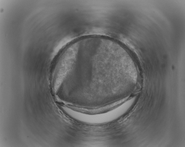 X0000088401312200706191347