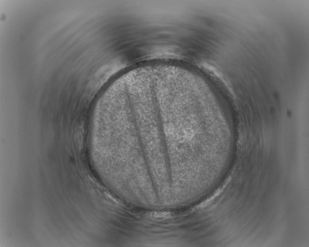 X0000088401313200706191347