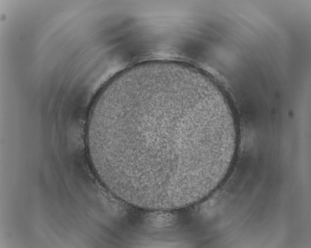 X0000088401314200706191348