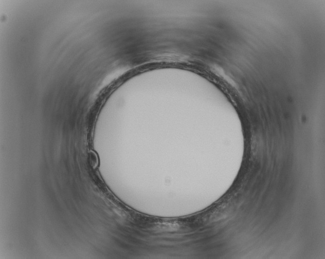 X0000088401315200706191348