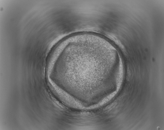 X0000088401316200706191348