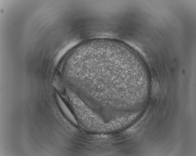 X0000088401317200706191348