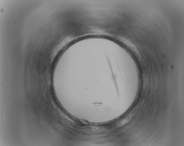 X0000088401318200706191348