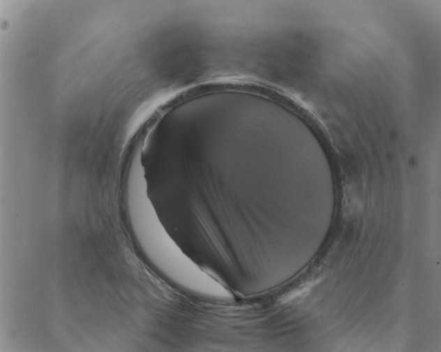 X0000088401319200706191348