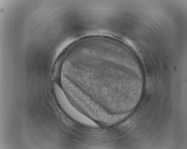 X0000088401320200706191348