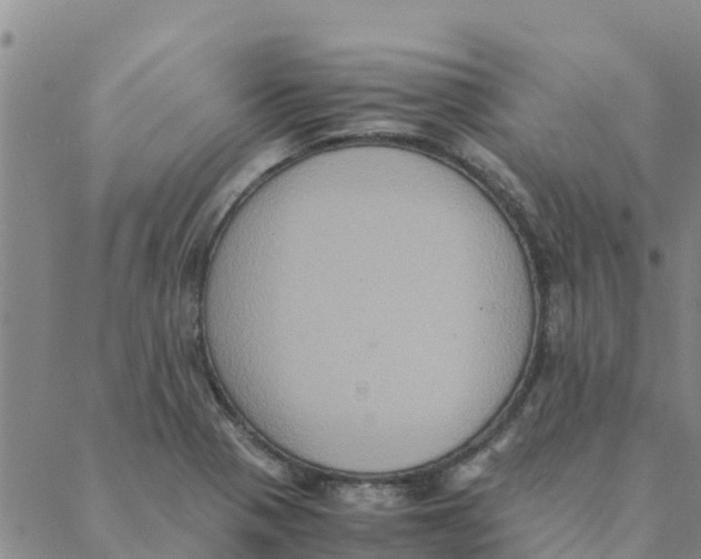 X0000088401321200706191348