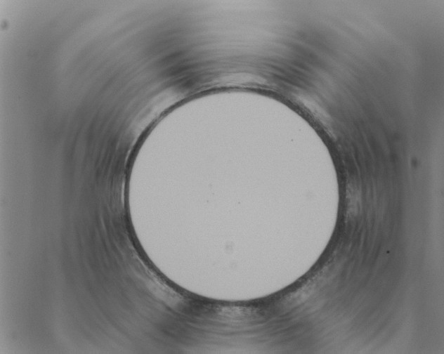 X0000088401322200706191348