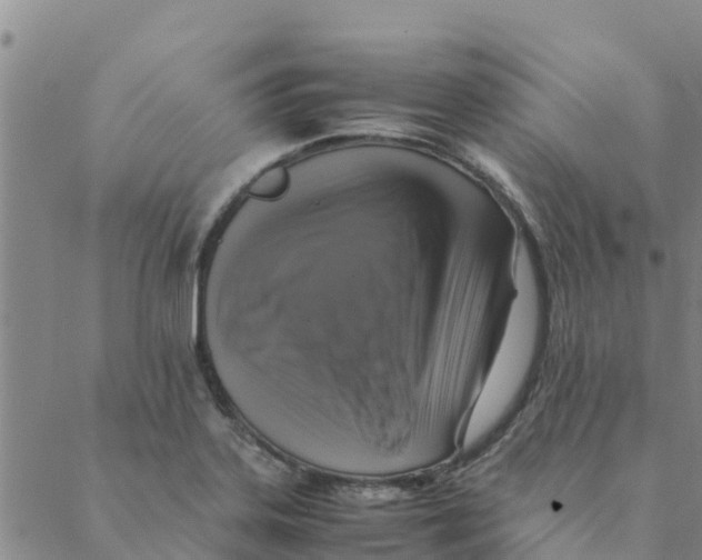 X0000088401323200706191348