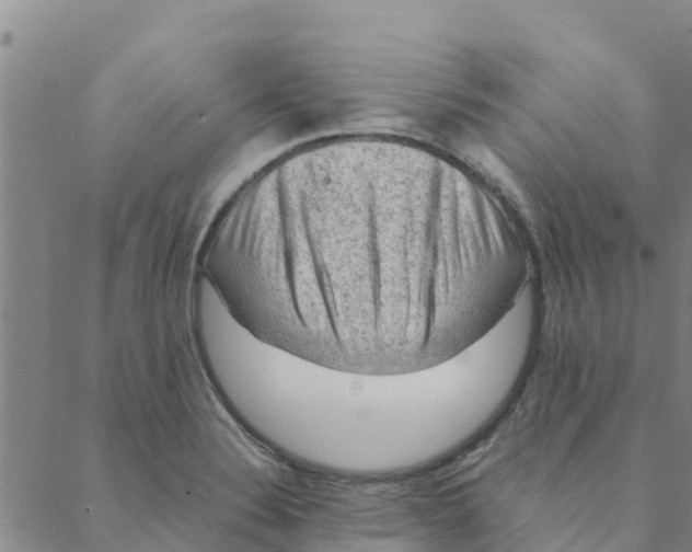 X0000088401324200706191348