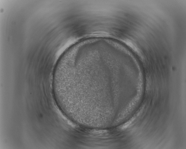 X0000088401325200706191348