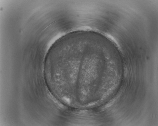 X0000088401326200706191348