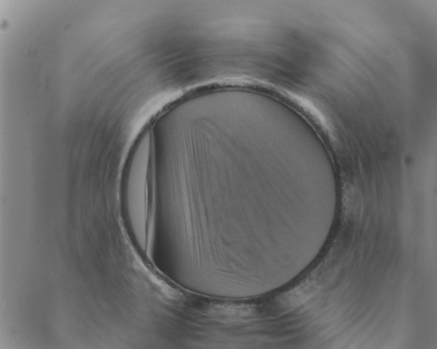 X0000088401327200706191348