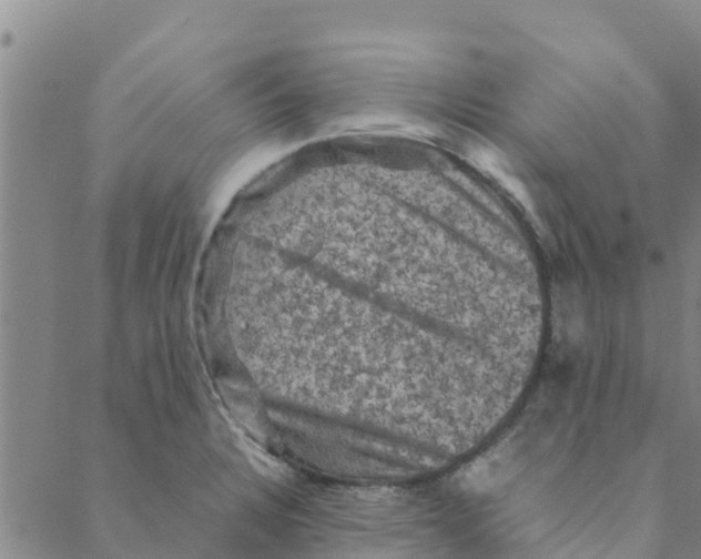 X0000088401328200706191348