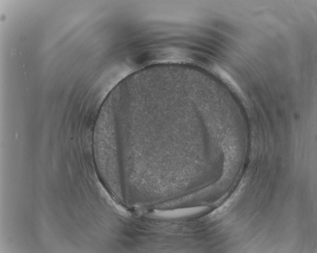 X0000088401329200706191348