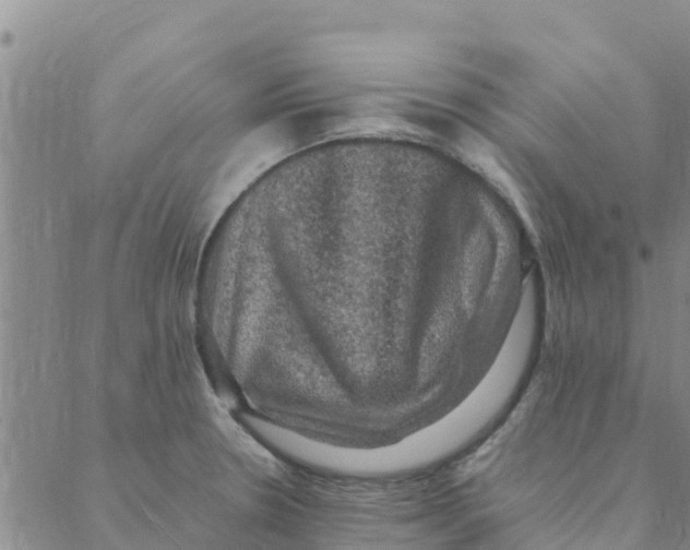 X0000088401330200706191348