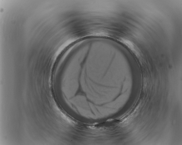 X0000088401331200706191348