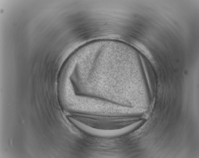 X0000088401332200706191348