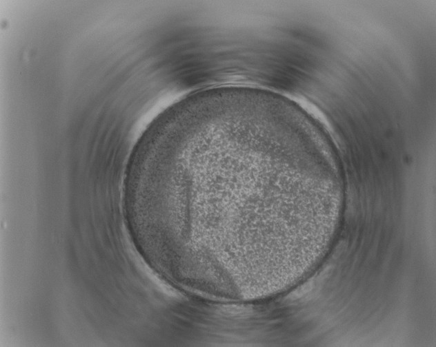 X0000088401333200706191348