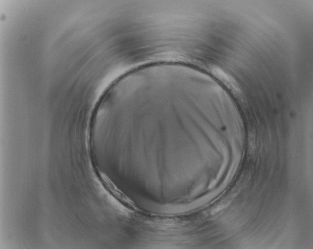 X0000088401334200706191348