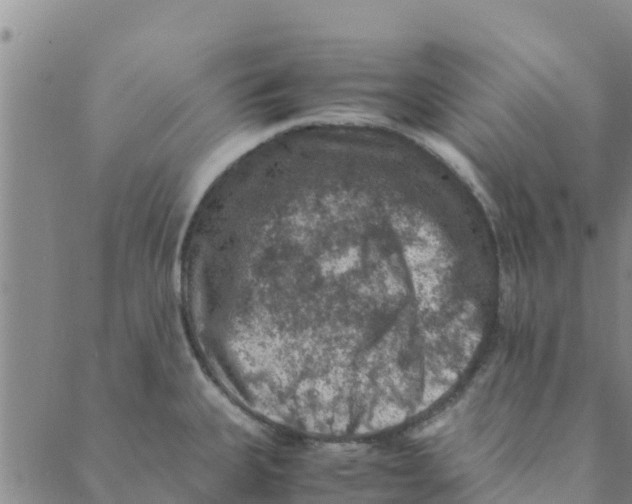 X0000088401335200706191348