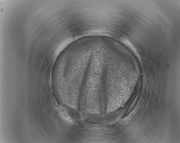 X0000088401336200706191348