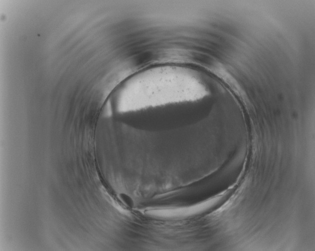 X0000088401337200706191348