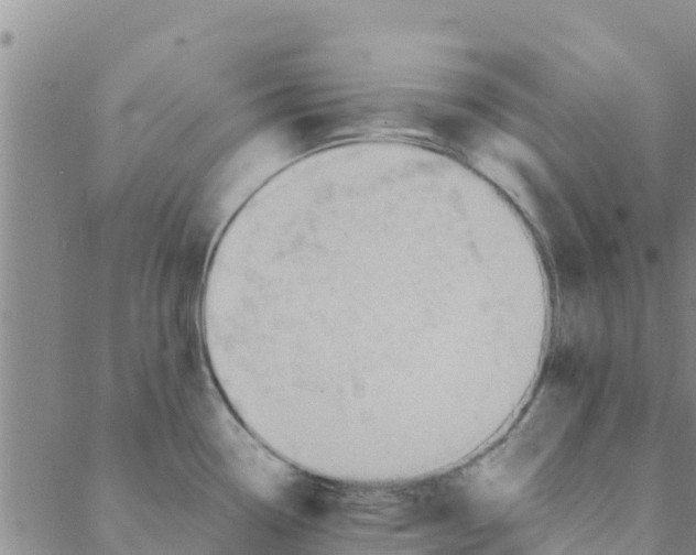 X0000088401338200706191348