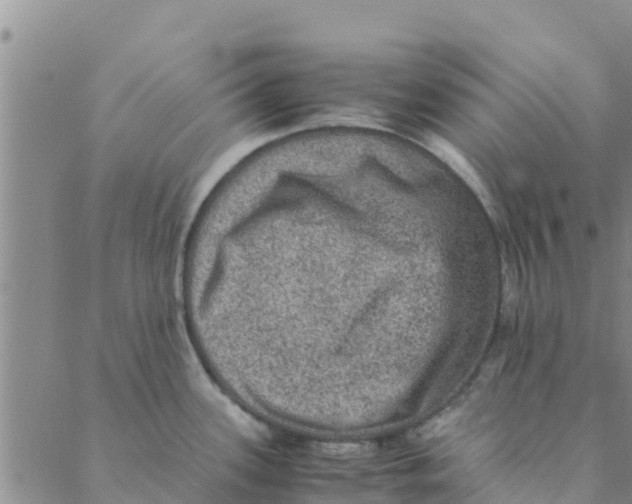 X0000088401339200706191348