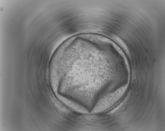 X0000088401340200706191348