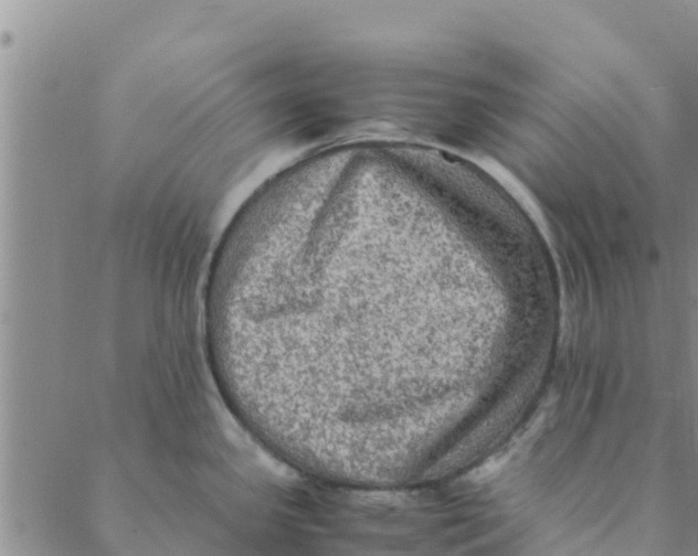 X0000088401341200706191348