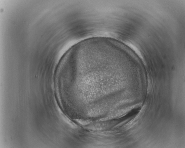 X0000088401342200706191348