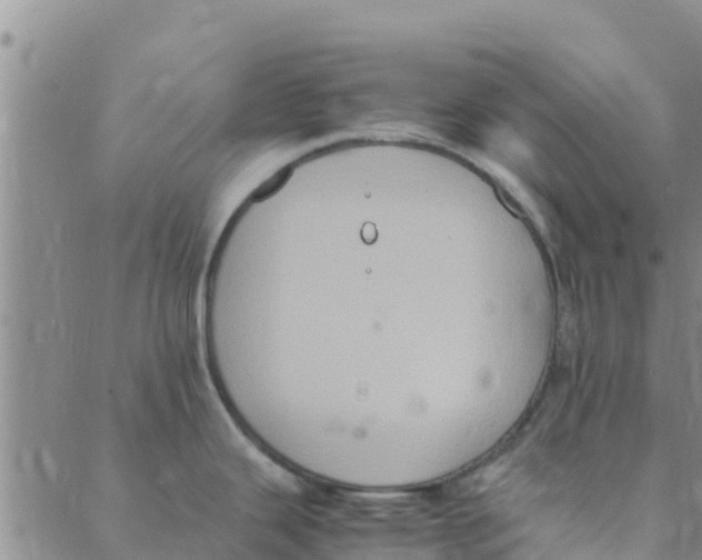 X0000088401343200706191348