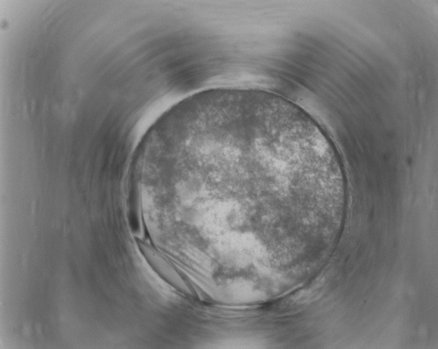 X0000088401344200706191348