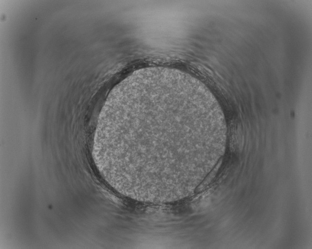 X0000088401345200706191347