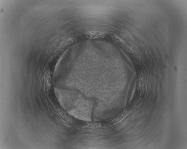 X0000088401346200706191347