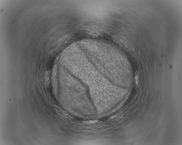 X0000088401347200706191347