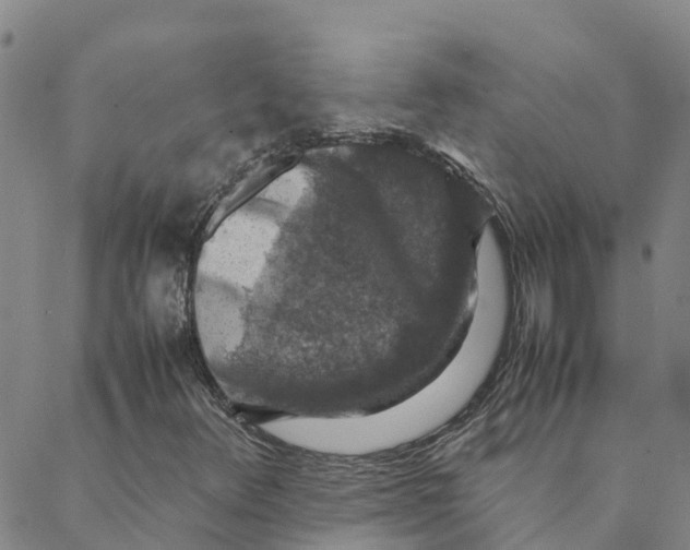 X0000088401348200706191347