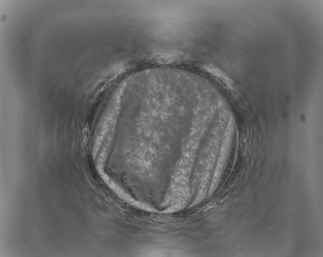 X0000088401349200706191347