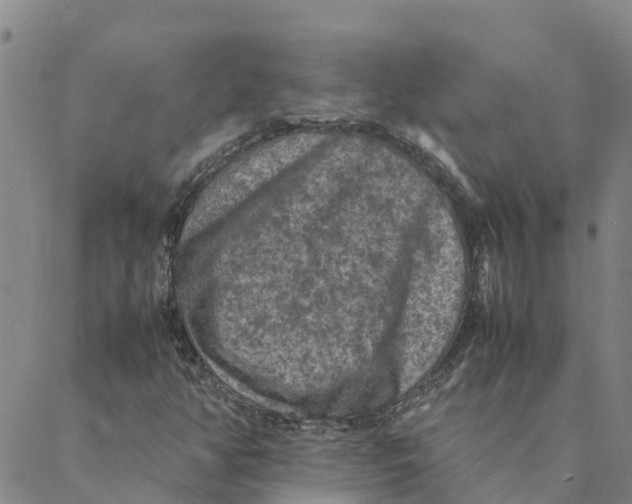 X0000088401350200706191347