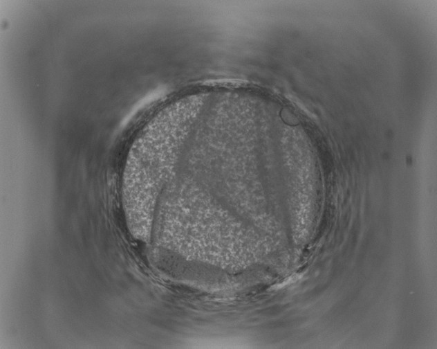 X0000088401351200706191347