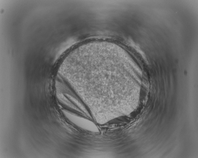 X0000088401352200706191347