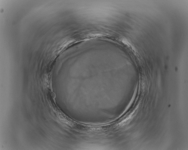 X0000088401353200706191347