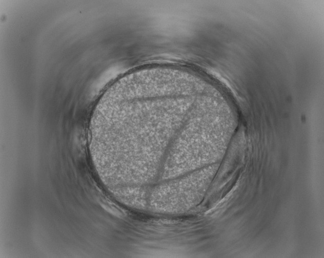 X0000088401355200706191347