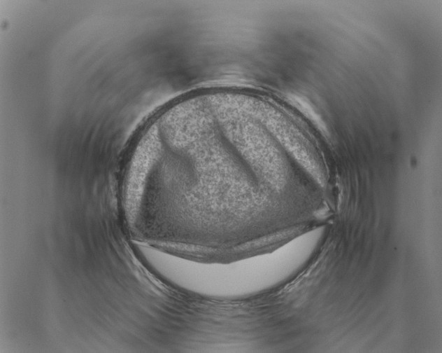 X0000088401356200706191347