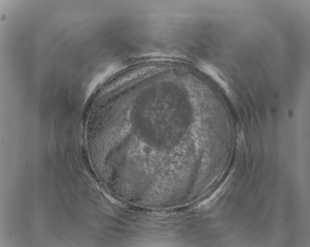 X0000088401357200706191347