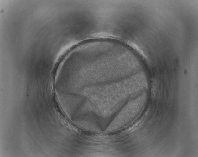 X0000088401358200706191347