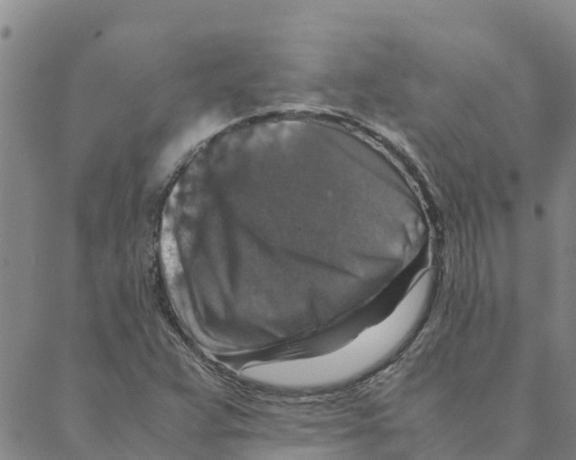 X0000088401359200706191347