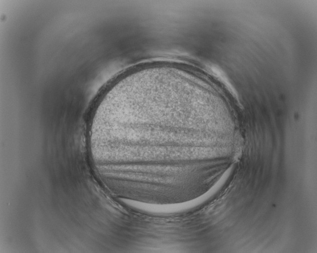 X0000088401360200706191347